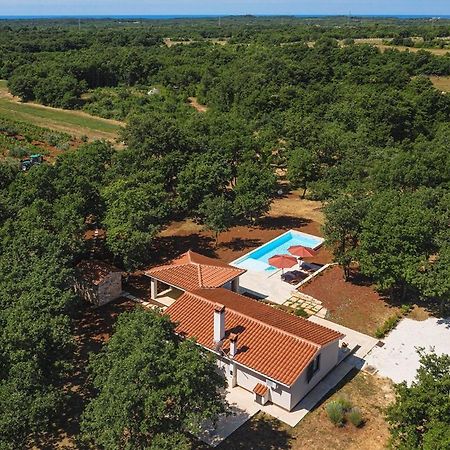 Villa Martinetinka Vodnjan Eksteriør billede