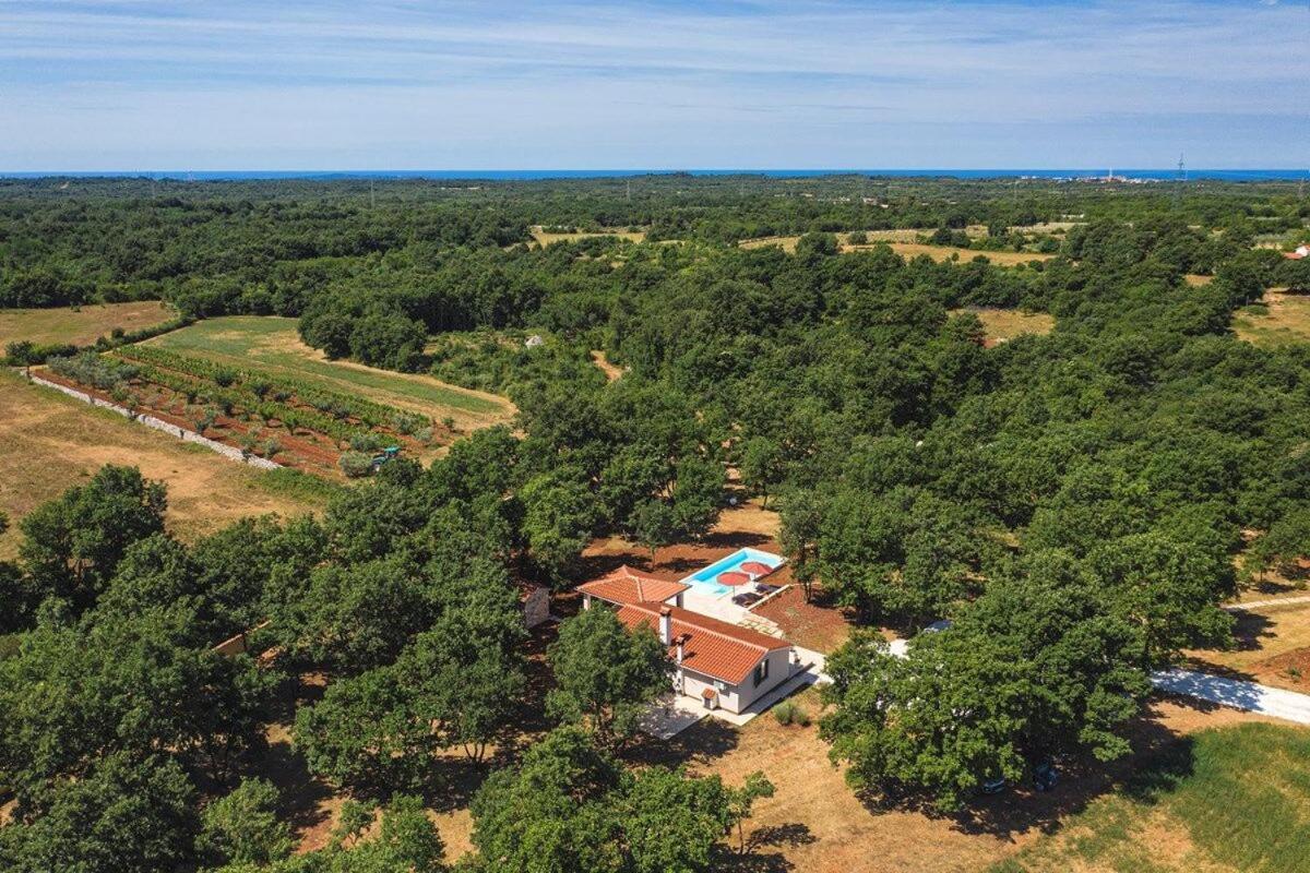 Villa Martinetinka Vodnjan Eksteriør billede