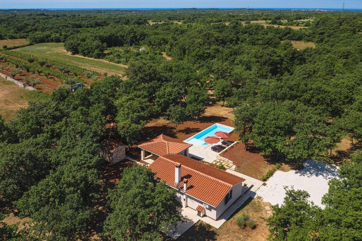 Villa Martinetinka Vodnjan Eksteriør billede